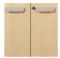 Door and Inside Latch Combo Option